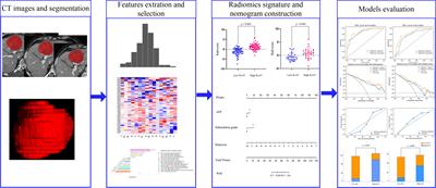 Nomogram Based on CT Radiomics Features Combined With Clinical Factors to Predict Ki-67 Expression in Hepatocellular Carcinoma